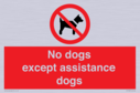 no-dogs-except-assistance-dogs~